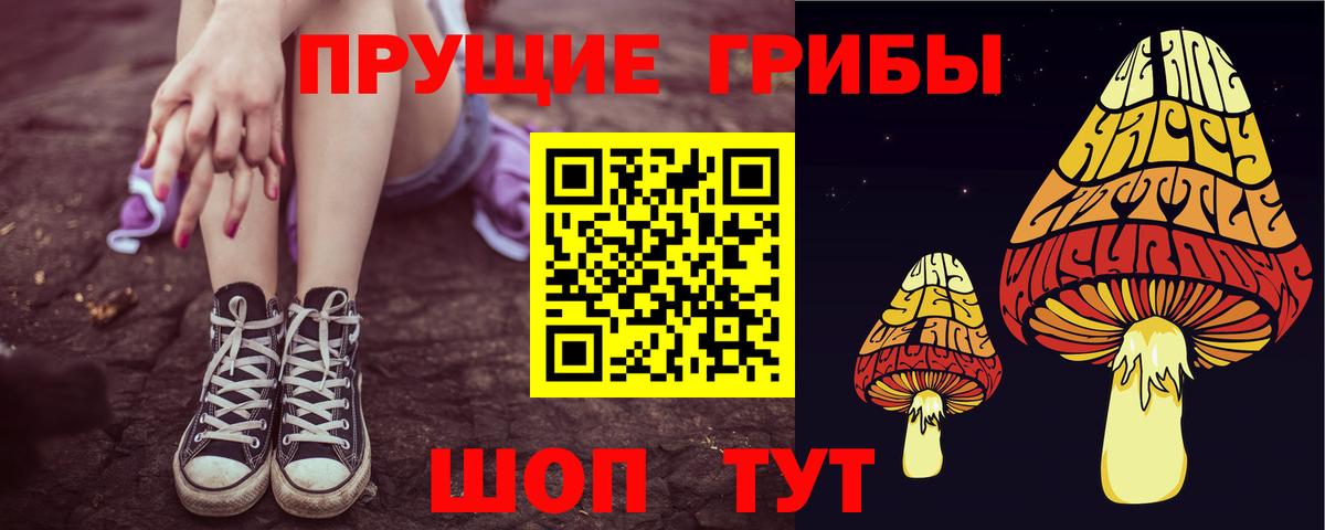 Псилоцибиновые грибы мицелий Ефремов