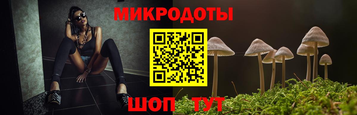 Псилоцибиновые грибы прущие грибы  Вход с VPN  Ефремов  как найти   Псилоцибиновые грибы прущие грибы 